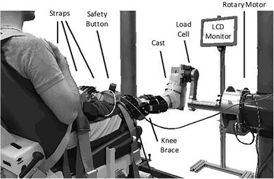 Leveraging Joint Mechanics Simplifies the Neural Control of Movement